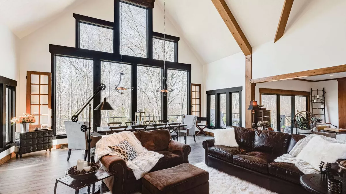 Black windows